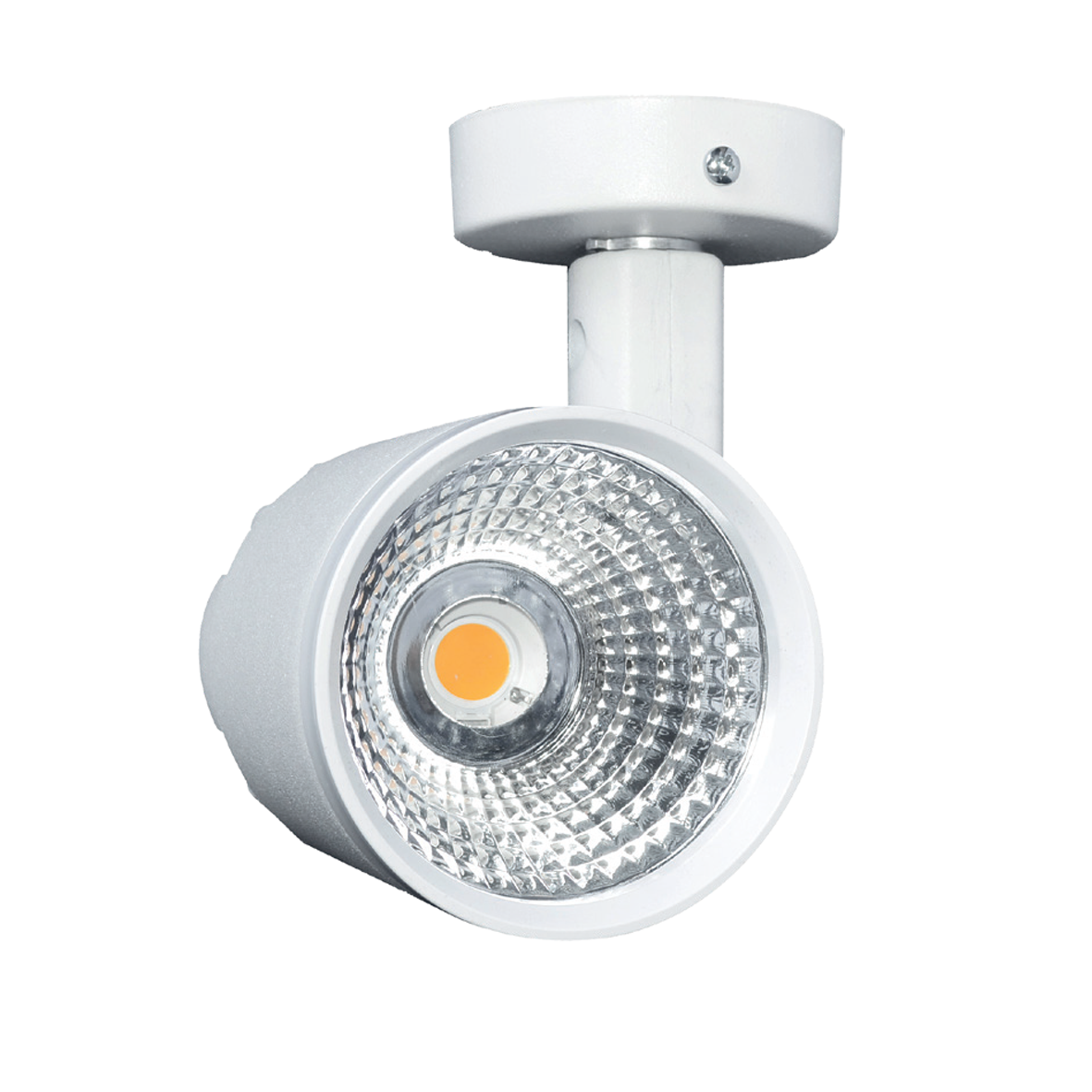 SP1100120 (+) -XXXP30W